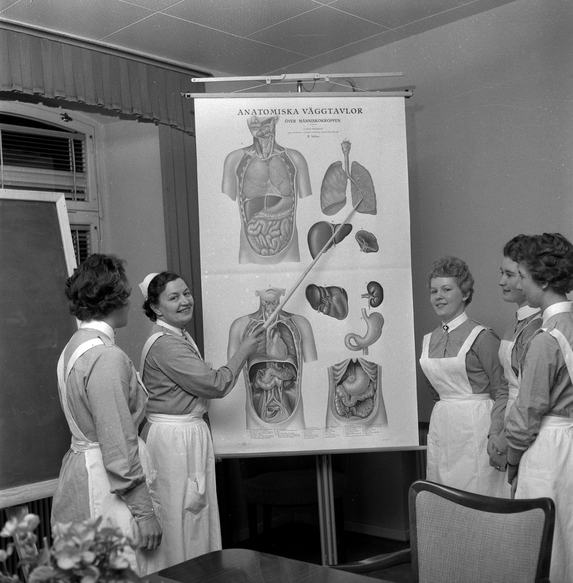 Sjukbiträden på kurs.
29 november 1958.