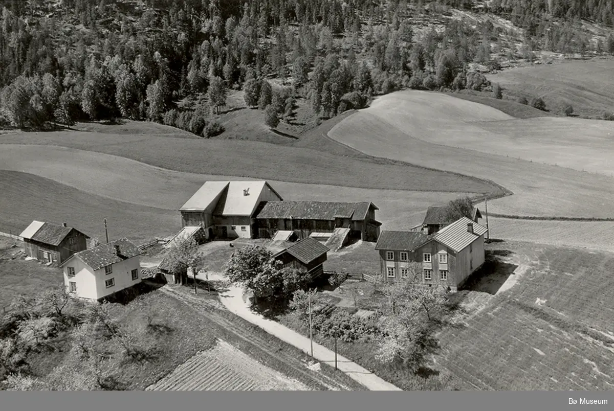 Flyfoto av Tveitan søndre 13. juni 1958.