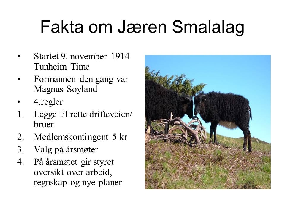 Fakta om "Jæren Smalalag" frå Microsoft PowerPoint presentasjon med eit bilete av to spellam på veg til heis om våren.