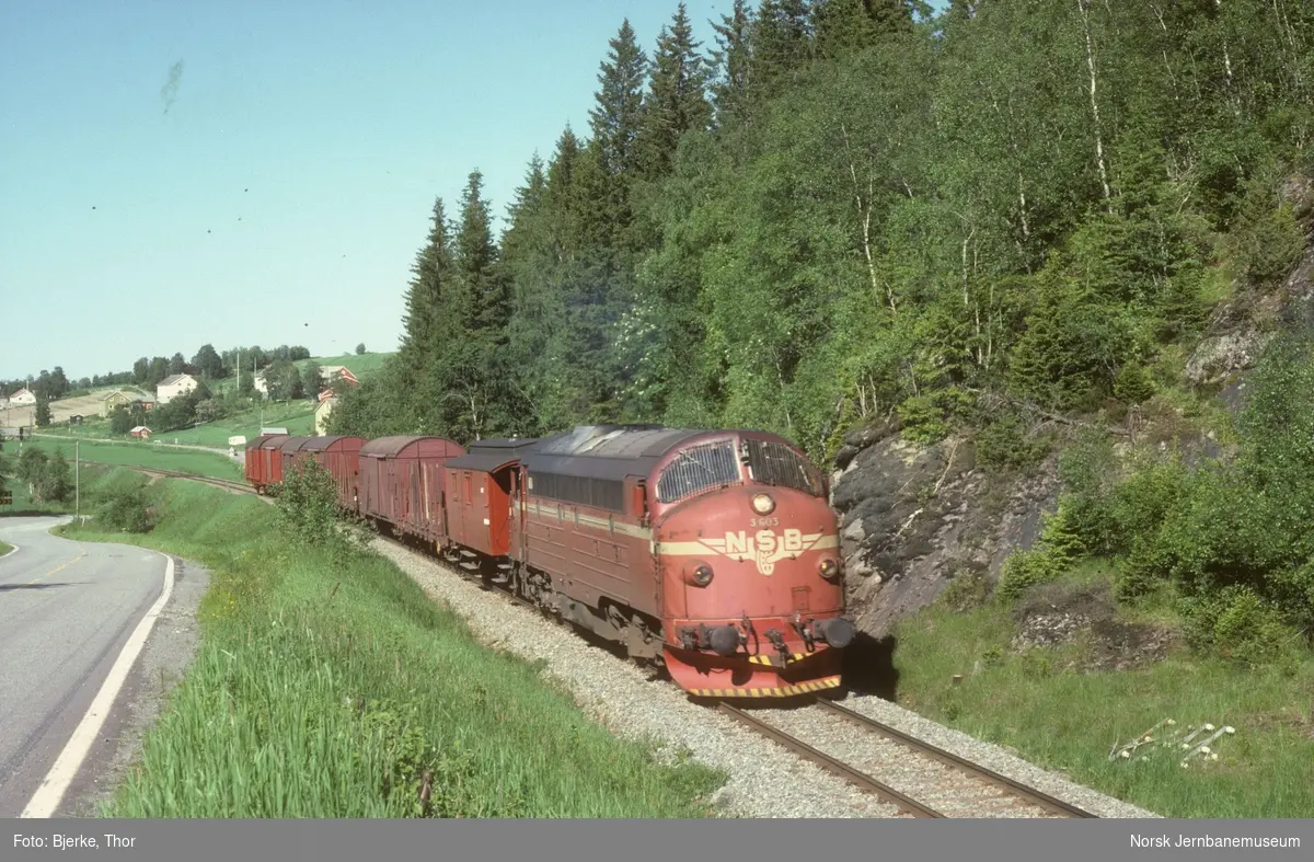 Sørgående godstog 5762 trukket av diesellokomotiv Di 3 603 mellom Ronglan og Åsen