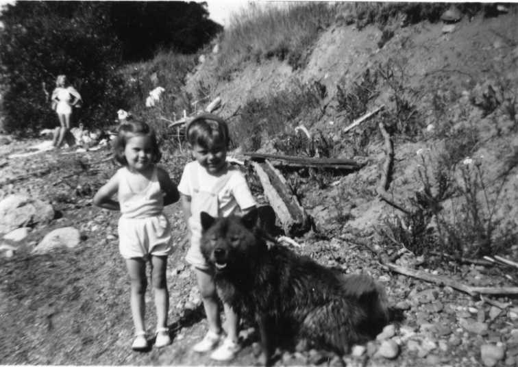 Två små barn, kusinerna, Gun Nilsson och Tommy Gustavsson står på en strand med en stor hund. Tommy klappar hunden. Gun håller händerna bakom ryggen.