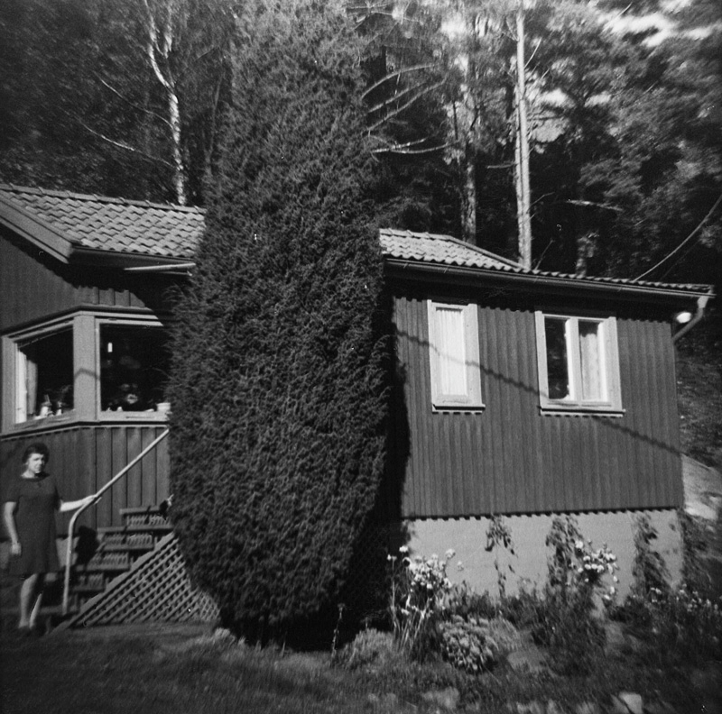 Märta Jinfäldt står på trappan till vänster, Hallen (nuvarande Hallavägen 7) cirka 1960. Sommarstuga som tillhörde Märta och Gustav Jinfäldt. Stugan byggdes cirka 1950 och revs 1973. Makarna uppförde därefter en villa på tomten.