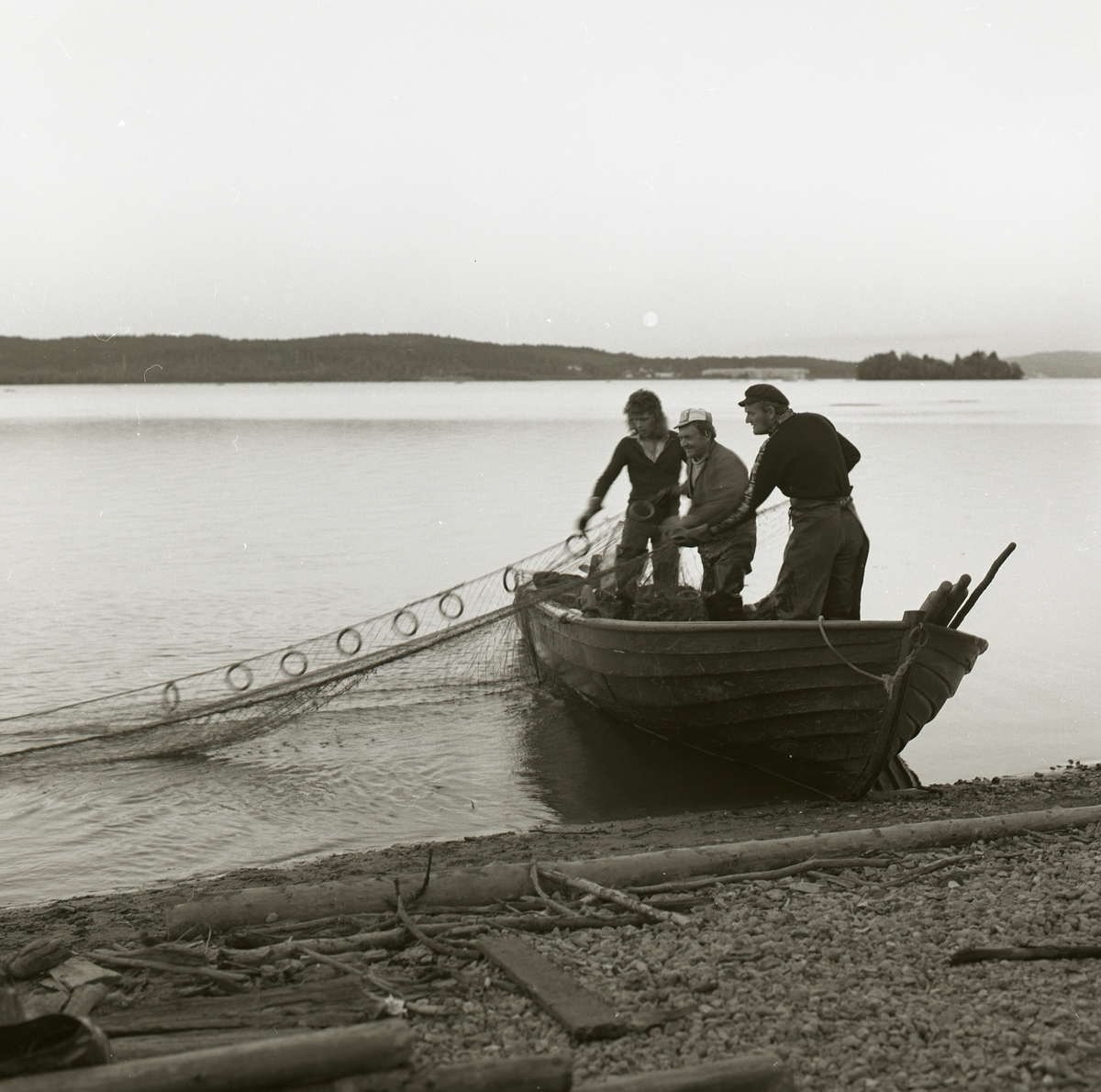 Tre män står i en båt intill stranden och drar upp ett fiskenät, Ångermanland 1974.