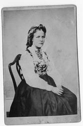 Fotosamling etter fotograf Knut Aslaksen Berdal (1829 - 21.0