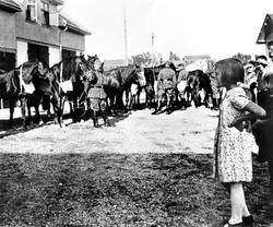 Innlevering av hester til tyske Wehrmacht på Myra i Skiptvet