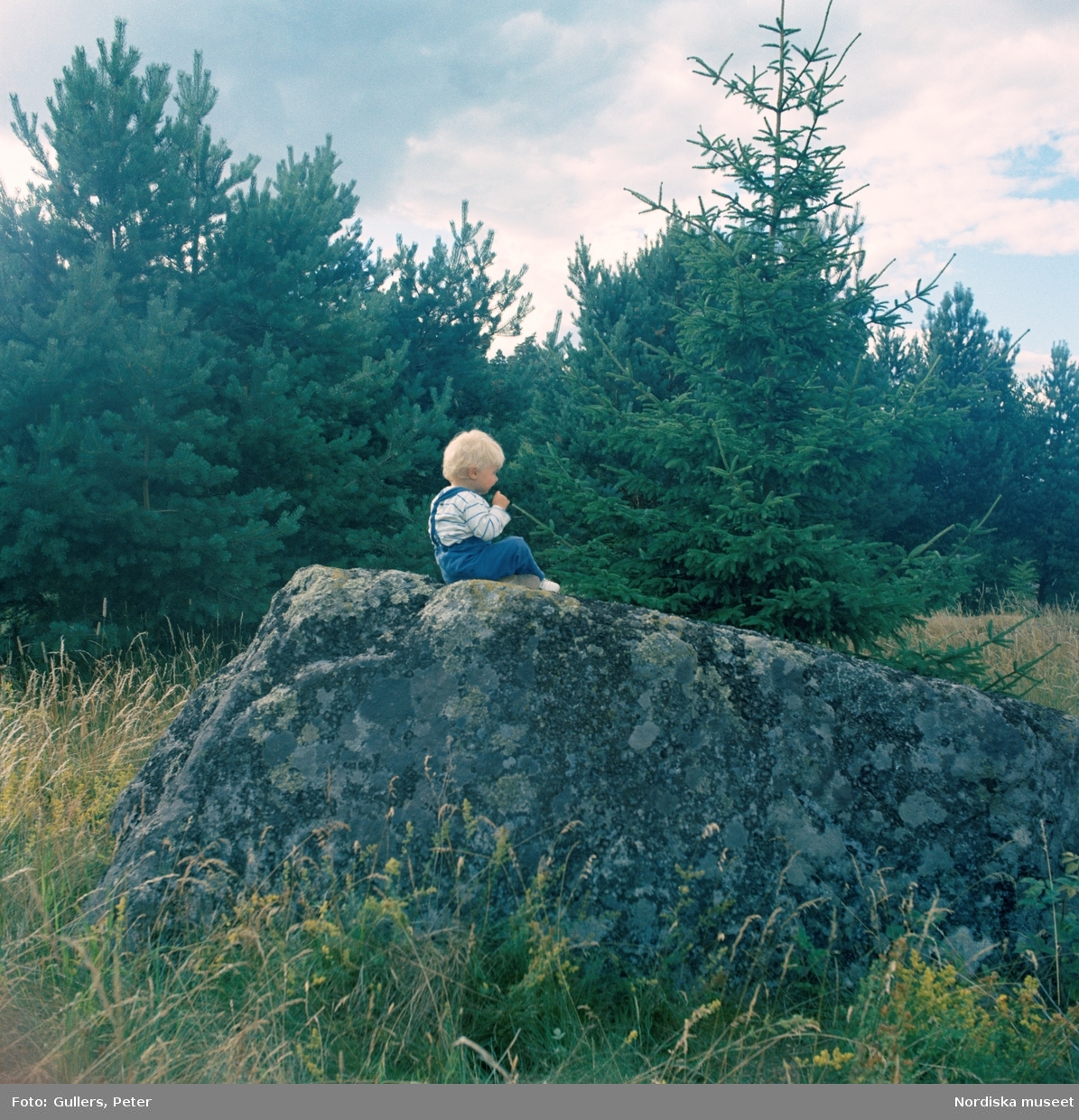 Sommarställe. Ett litet barn sitter på en stor sten på en äng med gran och tallar i bakgrunden.