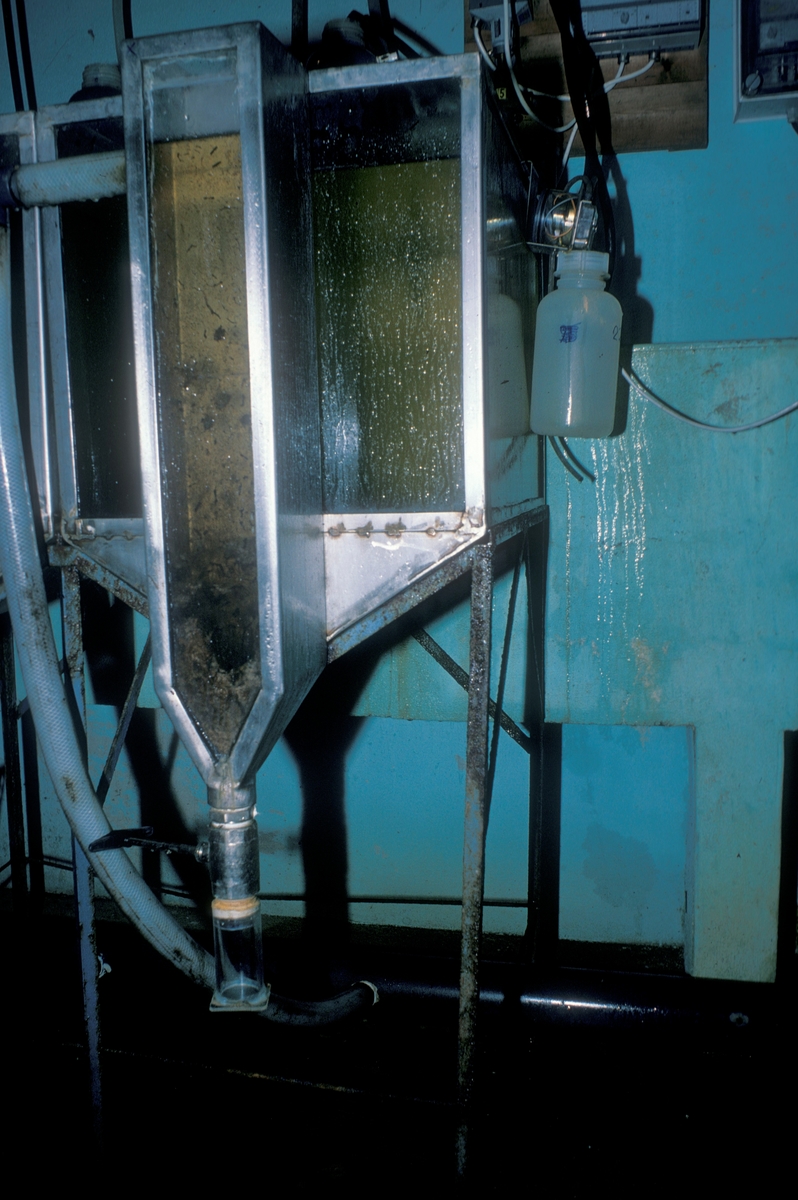 Forsøgsdambruget i Brøns, Danmark, 1978 : Nærbilde av glasstank.  Muligens tank for fiskeyngel.