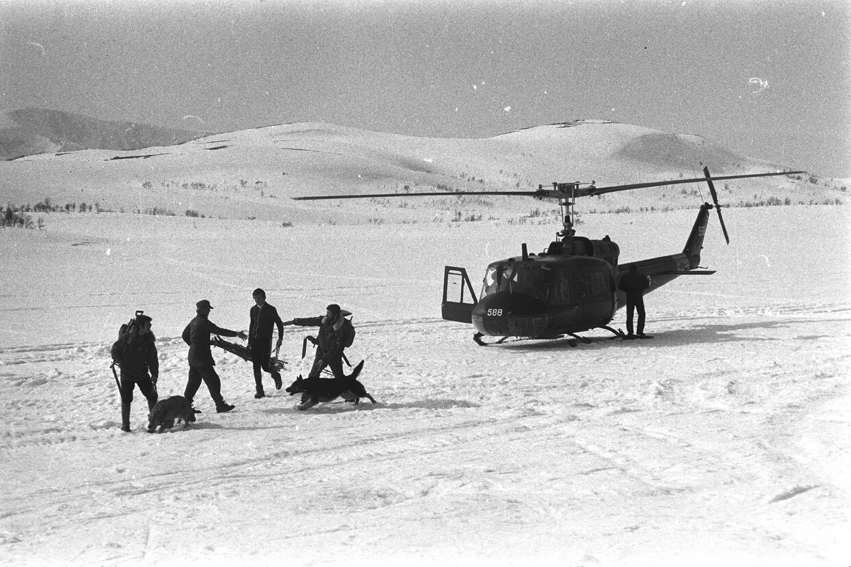 Lavinehunder og førere, med et av luftforsvarets helikopter til høyre.