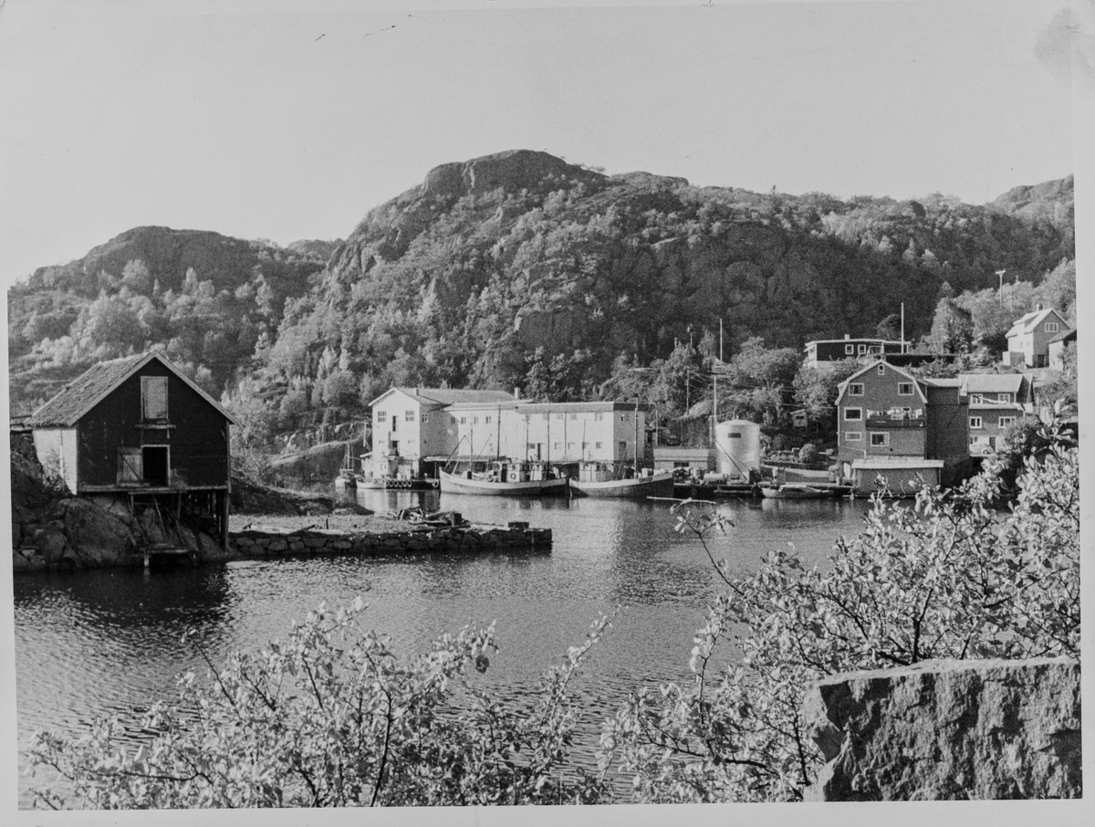 Rekefjord i Sokndal