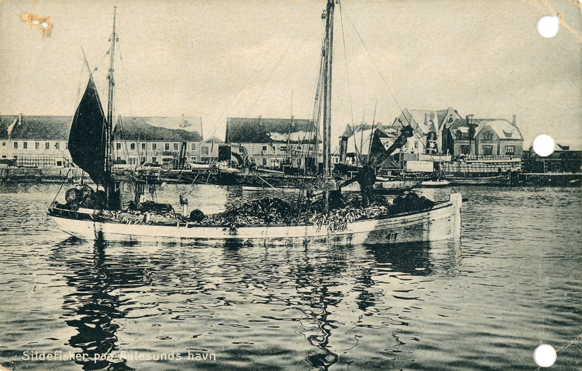 Motiv av en fiskebåt fyllt med sild på vei inn i havnen i Ålesund. I bakgrunnen er Skansekaia.