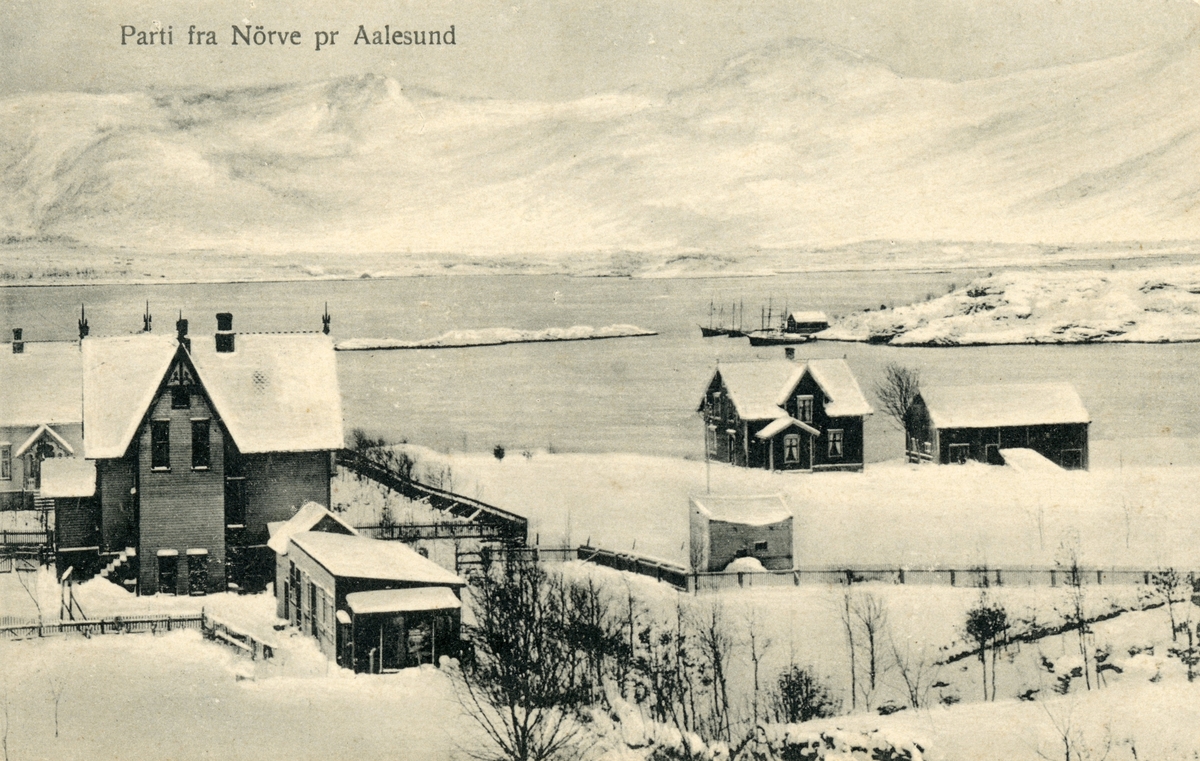 Prospektfotografi av noen boliger på Nørve ved sjøen. I bakgrunnen ses holmene Hundsvær og Svinholmen.