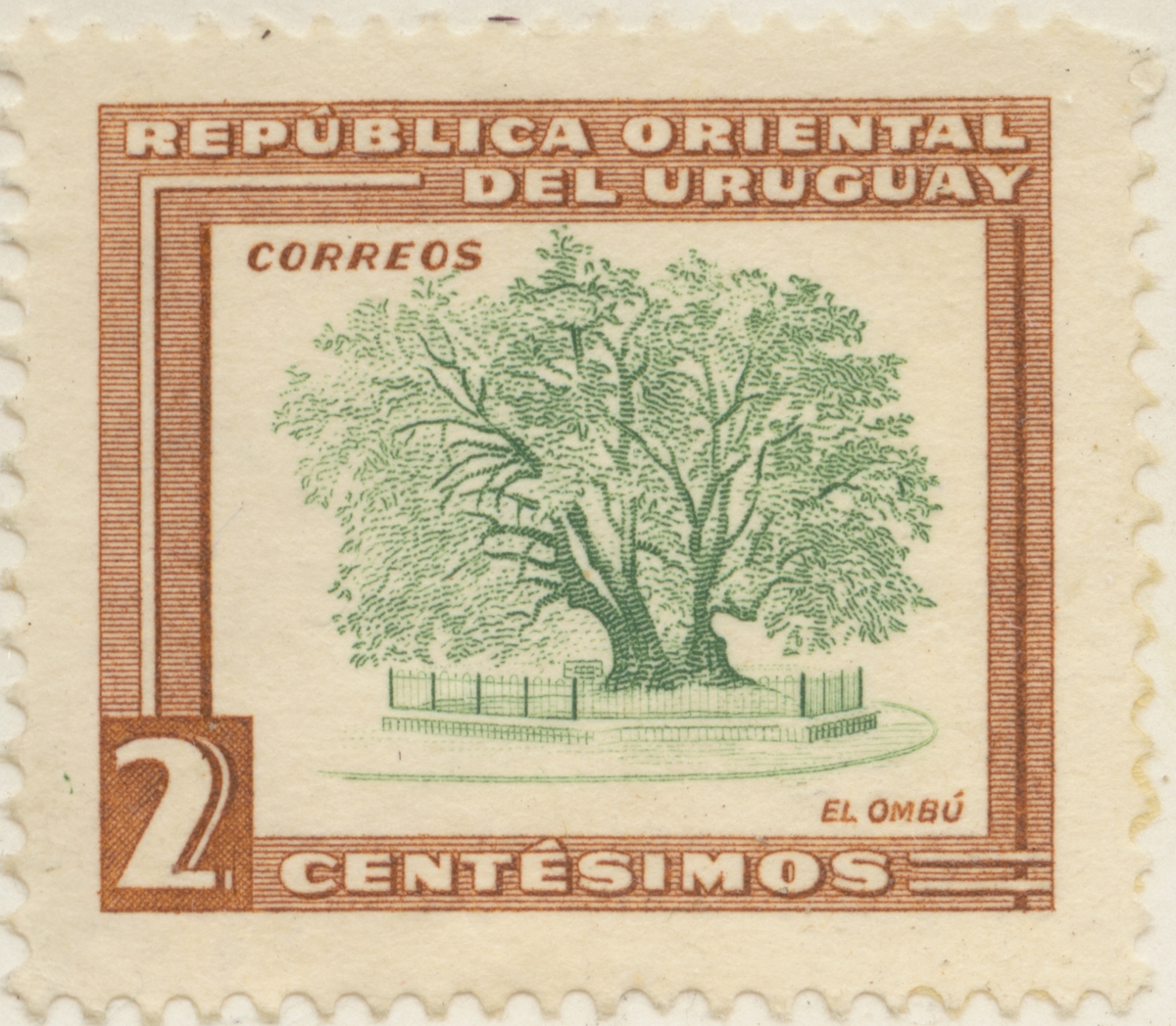 Frimärke ur Gösta Bodmans filatelistiska motivsamling, påbörjad 1950.
Frimärke från Uruguay, 1954. Motiv av Ombuträd.