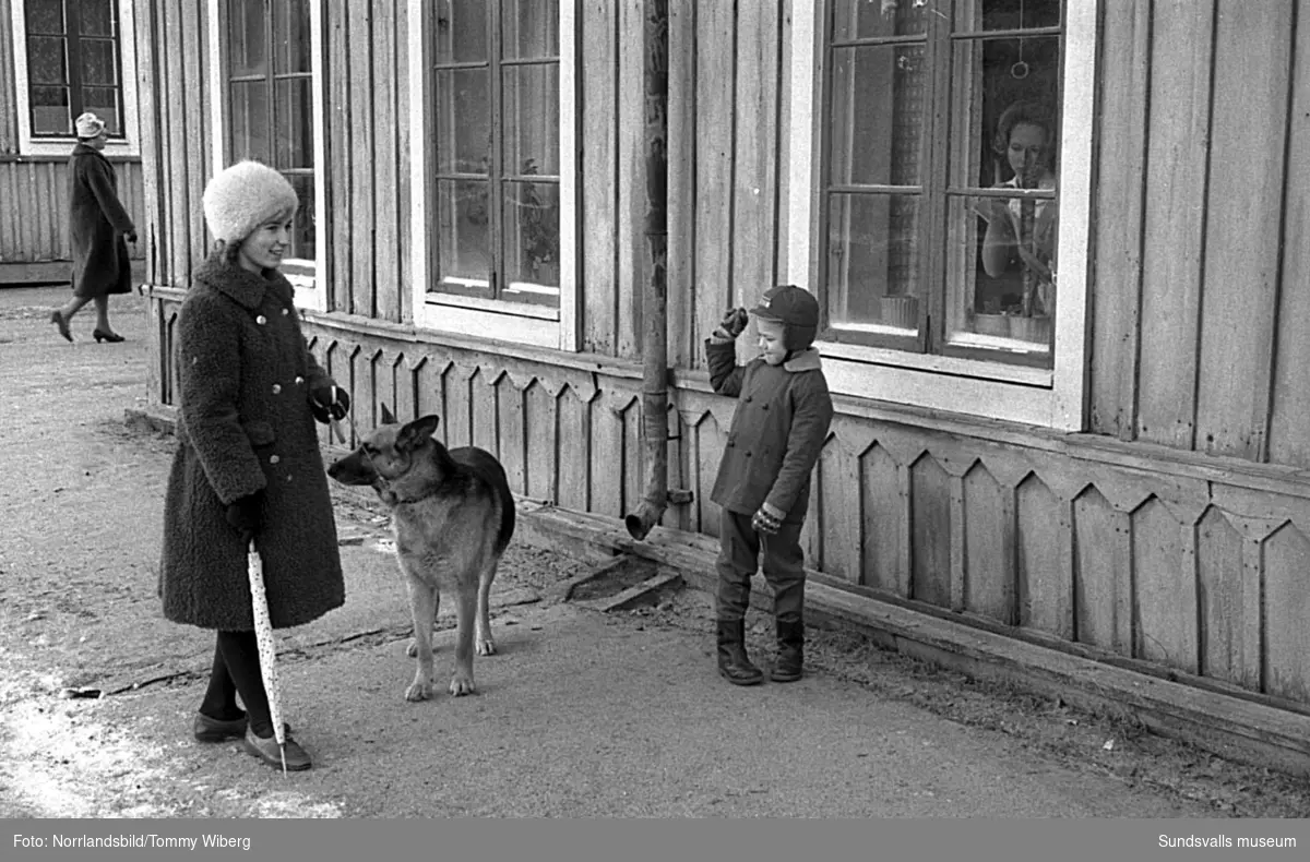 Bilder till Dagbladets julsaga 1960 som hette När Pelle fick en hund. Sagans Pelle bodde på Skepparegatan i hörnet av dåvarande Malmskillnadsgatan på gamla Norrmalm och många av bilderna är därifrån.