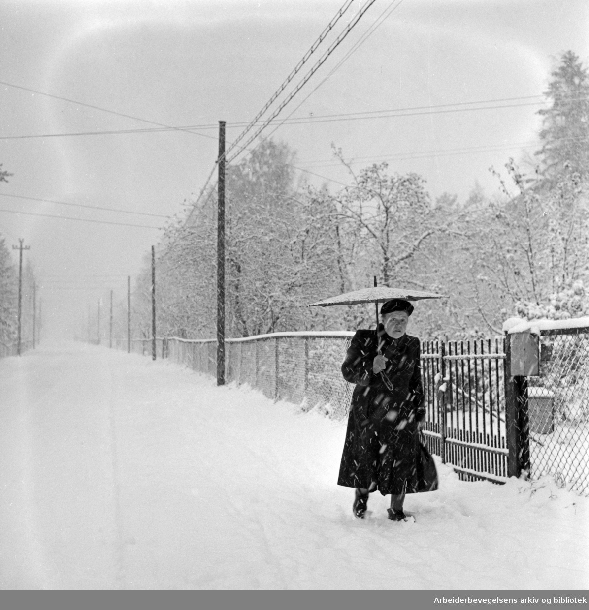 Den første snøen, vinteren 1960. Dame med paraply i snøvær. Ukjent. 01.11.1960.