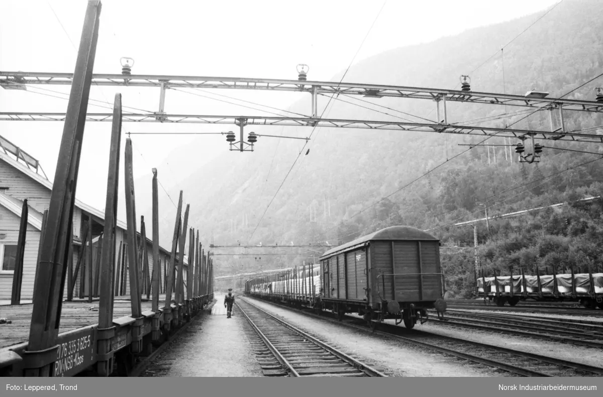Vogner og skinner på stasjonsområder til Rjukanbanen.