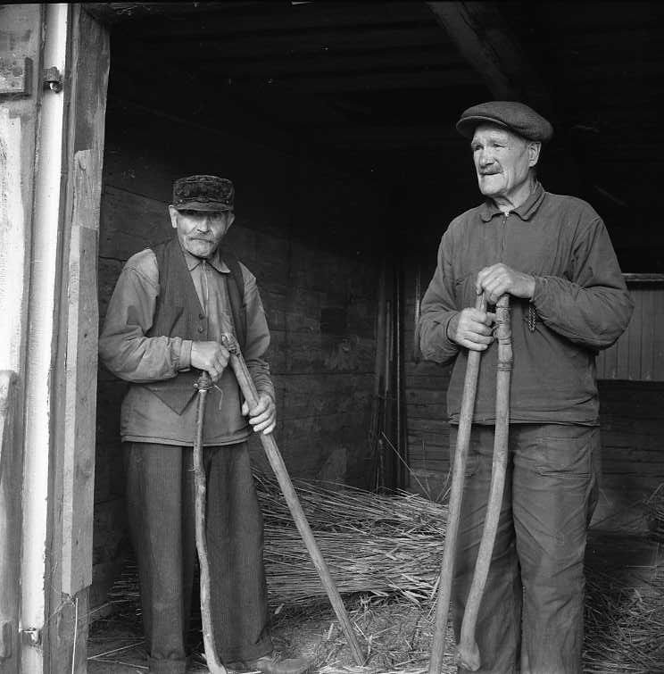 Två äldre män i keps med slaga i nävarna. De står i en loge i Hullaryd. Deras namn är Frisk respektive Gustav Johansson.
