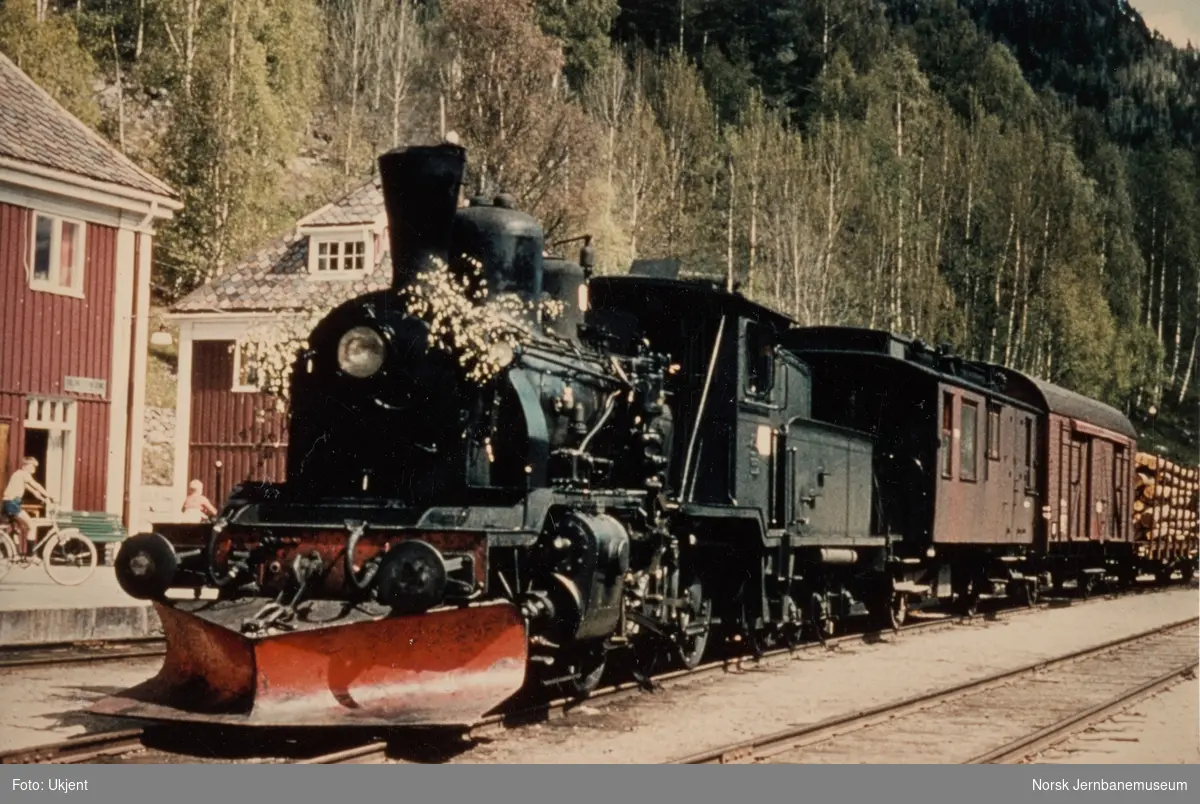Damplokomotiv type 21b nr. 252 med godstog til Kongsberg på Rødberg stasjon. Dette var siste godstog som ble fremført med damplokomotiv på Numedalsbanen