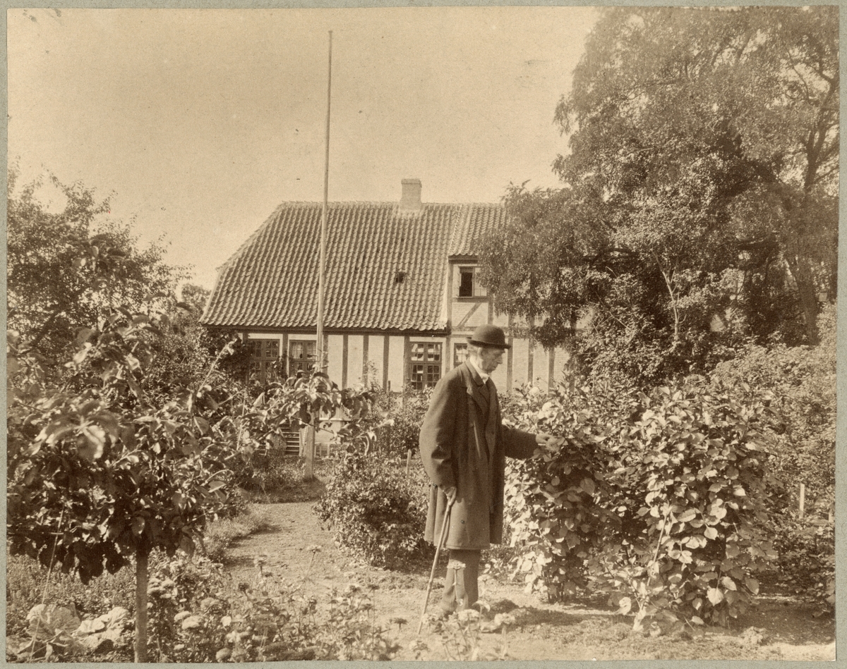 Man i trädgård, Uppsala