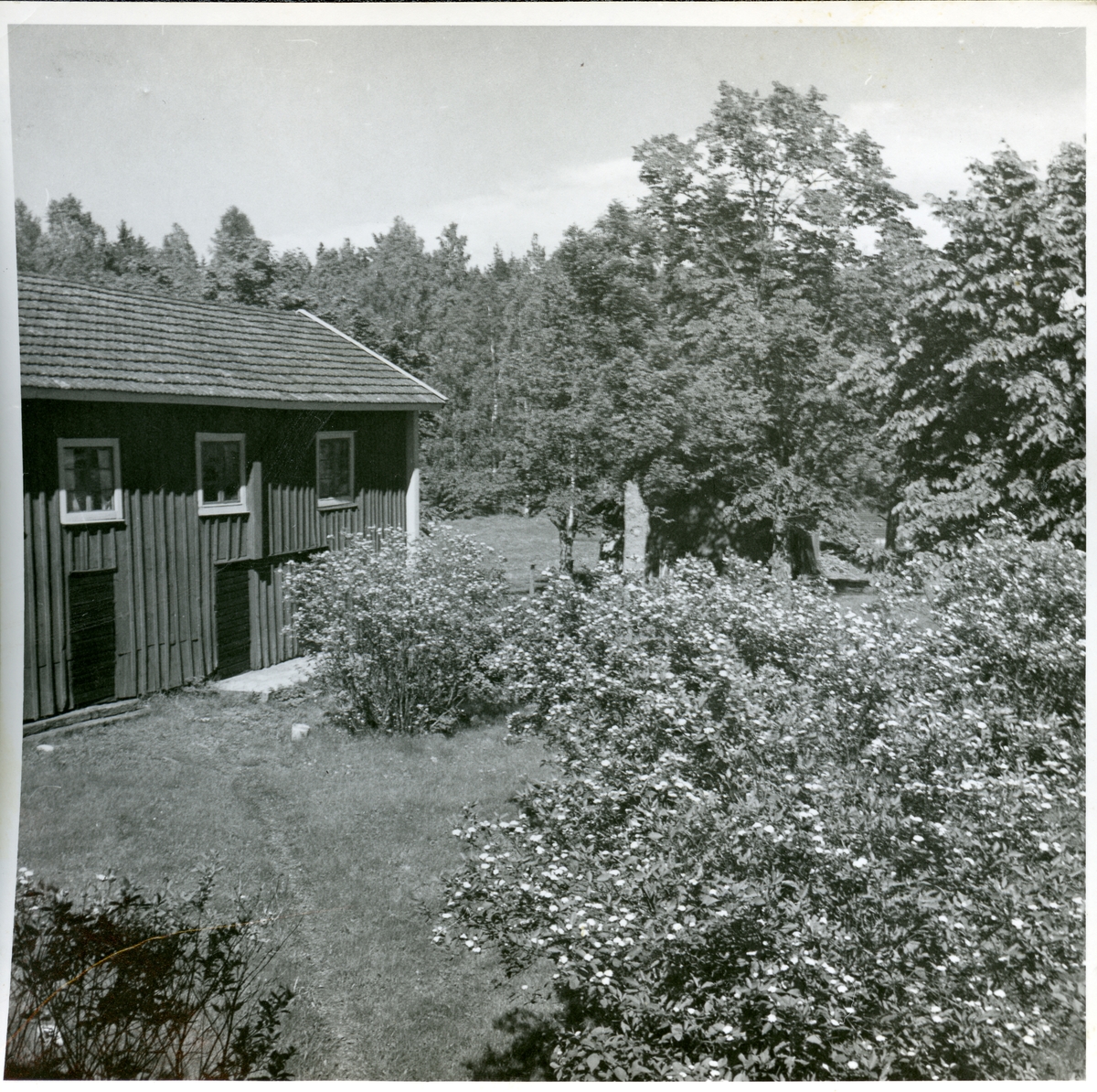 Norberg sn, Norberg, Lilla Bråfors.
"Hedlunds gård". 1949.