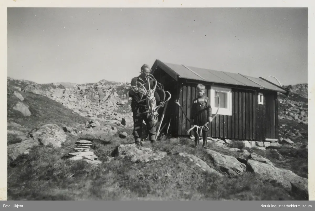 Olav og Olav Vågen holder reinsdyrgevir foran hytta Olavsbu i Kvamsfjellet