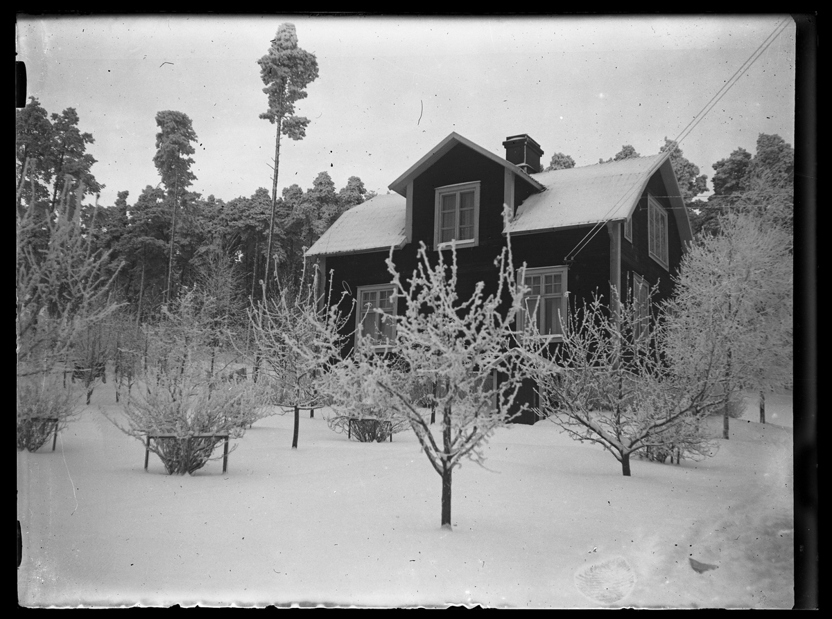 Vinterbild av bostad med köksträdgård.