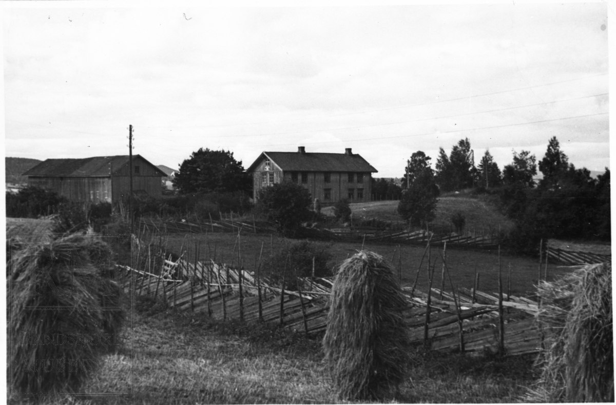 I bakgrunnen et gårdsbruk og i forgrunnen står kornband på staur, kønnband på rå