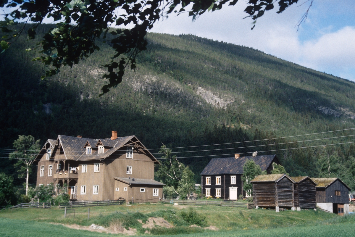DOK:1995, Sel, Laurgård (Laurgard),