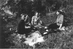 Fire kvinner raster i skogen.