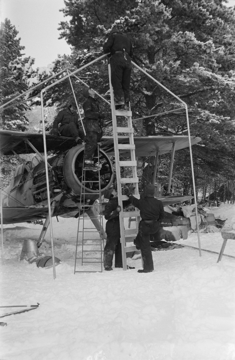 Skyddstält för flygplan Gloster Gladiator sätts upp vid F 19, Svenska frivilligkåren i Finland, 1940. Tre män i arbete.