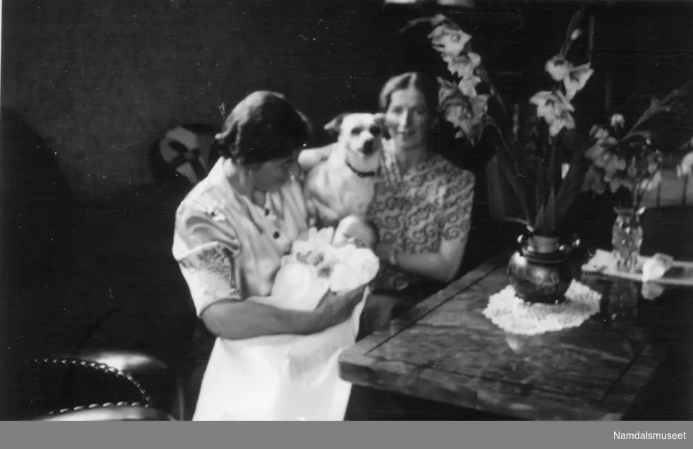 Familebilde, to damer, en hund og en baby.