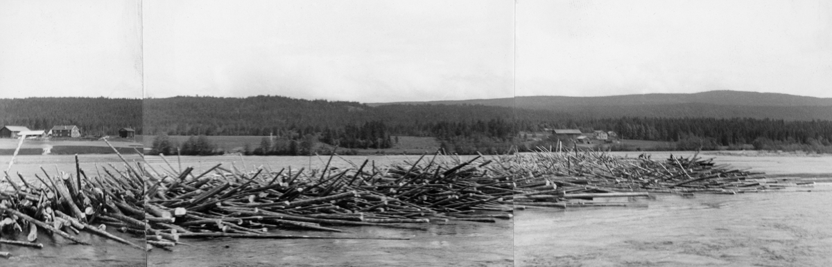 Tømmerhaug langs dammen ved Hommelnesset.
Bildet er tatt for å bli en del av et sammensatt panoramabilde (se bilde 2).