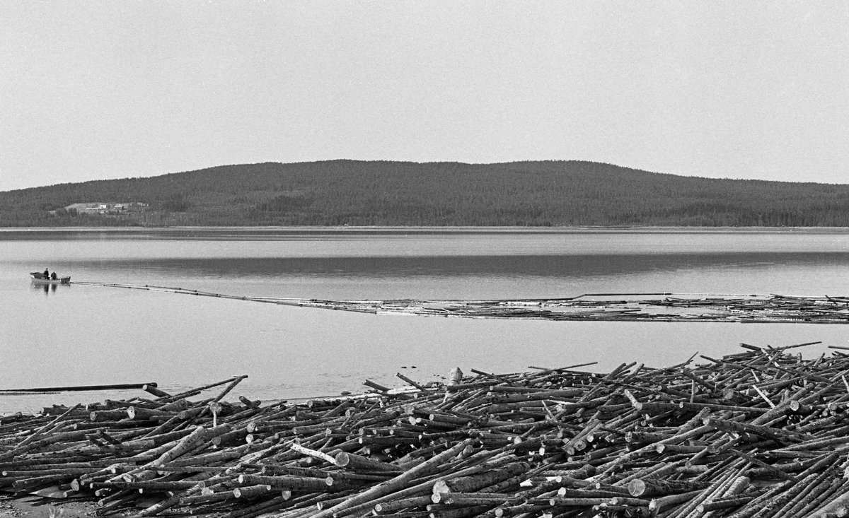 Lenselegging ved Osmundsand i nordenden av Osensjøen, den delen av innsjøen som ligger i Åmot kommune i Hedmark. Dette er et gammelt lensested, for her renner den om lag 6 mil lange elva Nordre Osa ut med fløtingsvirke fra nordenforliggende skogsterreng. I 1984, da dette fotografiet ble tatt, var det om lag 15 år siden det hadde gått tømmer på Nordre Osa. Osmundsand ble fortsatt brukt som velteplass for lastebiltransportert slipvirke fra omkringliggende skoger. Da våren kom og isen på innsjøen smeltet, skulle tømmeret slås ut i vannet ved hjelp av en hjullaster. Løstømmeret ble holdt samlet i strandsonen ved hjelp av ei lense som var forankret på land. Tømmer fra denne landlensa skulle etter hvert fordeles på «bommer», ringer av sammenkjedete tømmerstokker som fungerte som flytende rammer for løstømmeret når det skulle bukseres over innsjøen mot Valmen og elva Søndre Osas utløp fra Osensjøen. Til venstre i dette bildet ser vi en av Glomma fellesfløtingsforenings varpebåter i Osen med ei lense på slep.