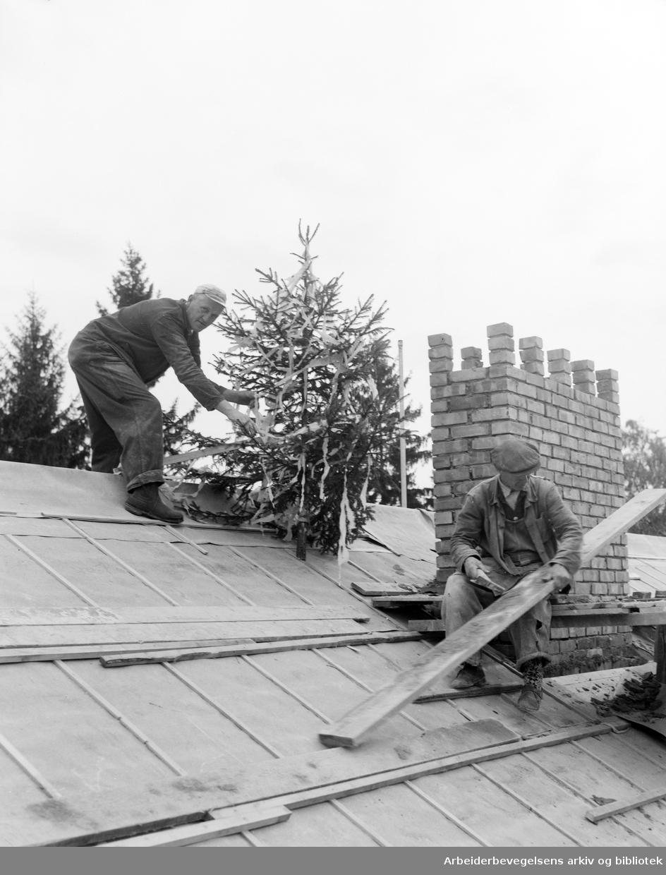 Bygningsarbeidere monterer en mønekrans/kranselagstre på toppen av Fagforeningenes kooperative Bolig- og Byggeselskaps nybygg på Simensbråten. Oktober 1953.