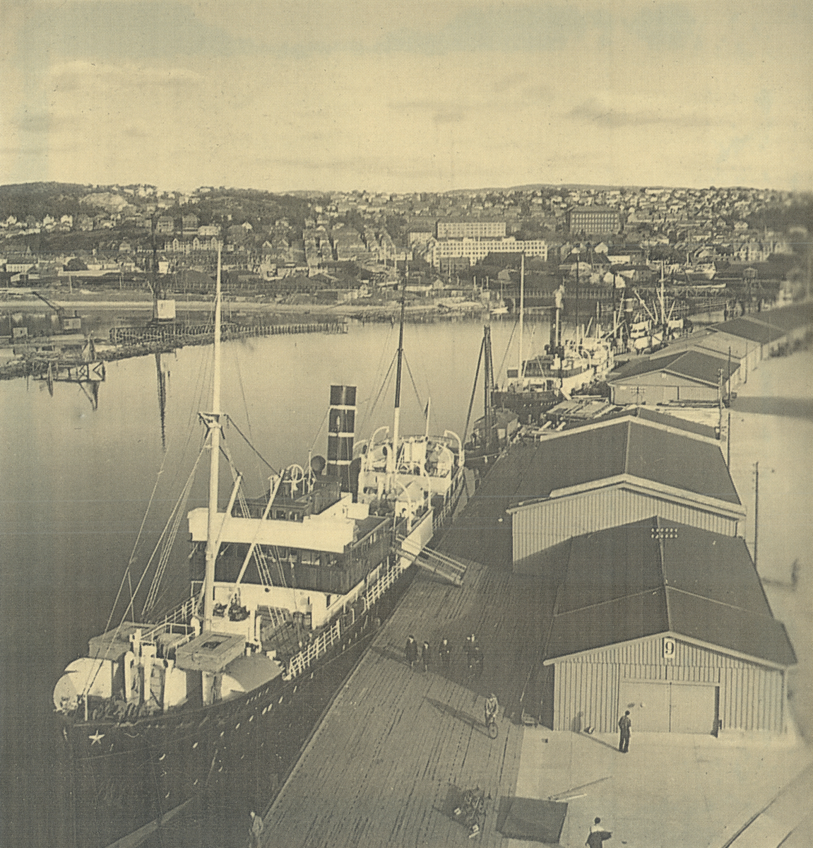 Havna i Trondheim. Ved kaia ligger flere dampskip. Det forreste skipet er DS Sylvia, tidligere DS Midnatsol (1910).Så kommer DS Kong Haakon (1904) bak. 