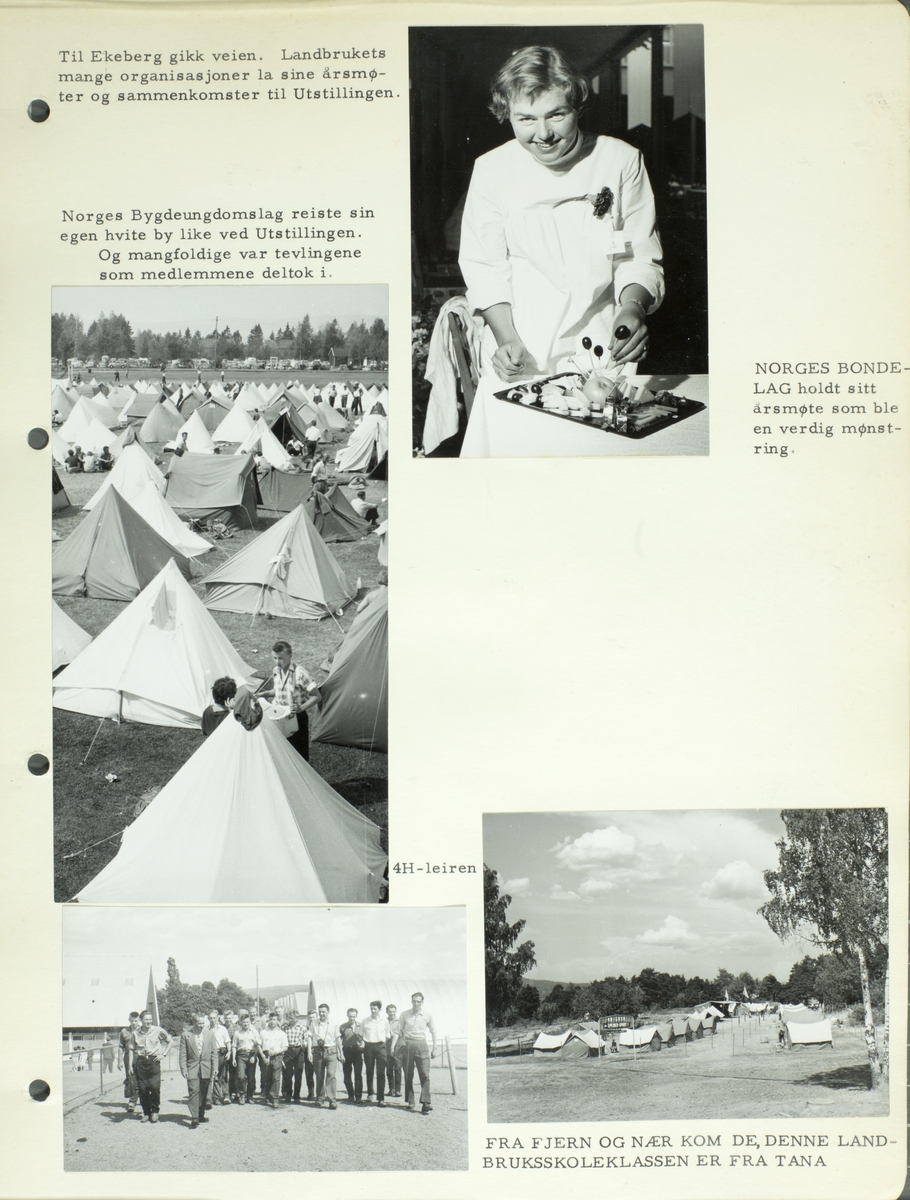 Bilder fra landbrukets jubileumsutstilling i 1959