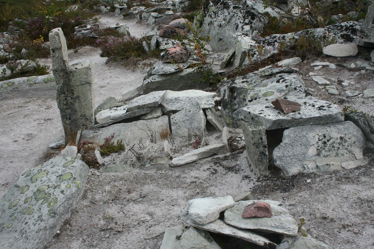 Cirkumferensbefaring, lekebyen, "Røroskopi"