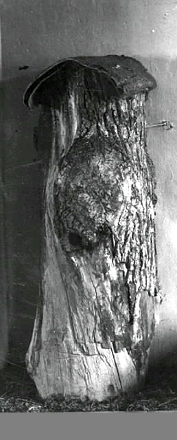 Stock, vari bina tagit sin bostad i skogen, nedsågad och hemförd. Täckt med granbark och träklabbar. Hackspetthål som ingång. 
Höjd: 176 cm.