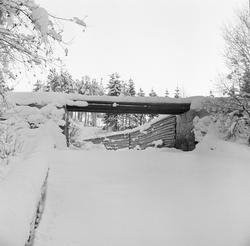 Vinterbilde av Høymodammen i Julussvassdraget. Fotografiet e