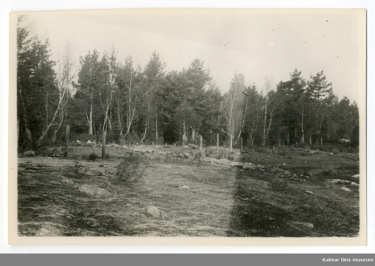Avgränsning av tomten vid blivande Vänvik 1930.