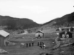 Kristofer Lie's gaard  Hallingdal  15.10.1906. Bolighus, uth
