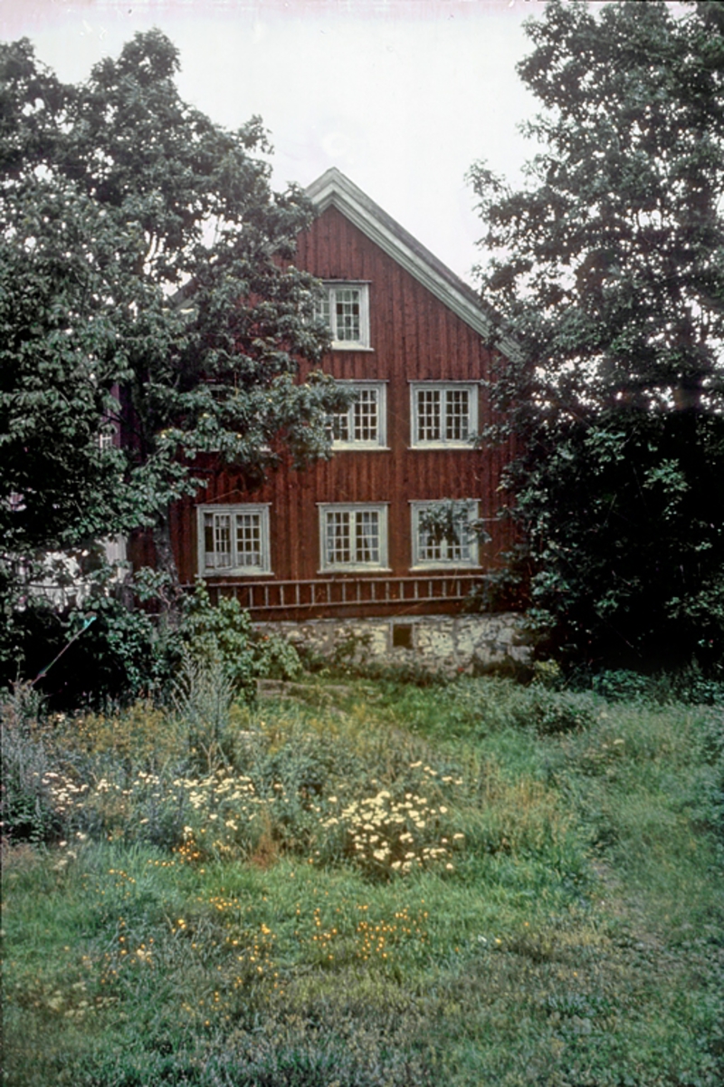 Saltrød gård. Rødmalt gavl, hage og trær. Fotografert før riving. Nedeneshus.