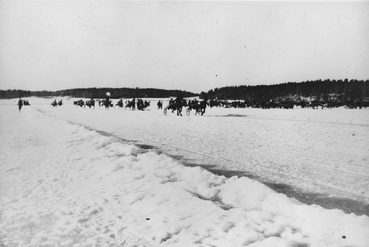 Travløp på isen. Hester, vogner, sne, skog