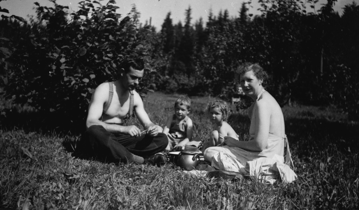Vi plukker stikkelsbær i haven på Fredheim skole august 1938.