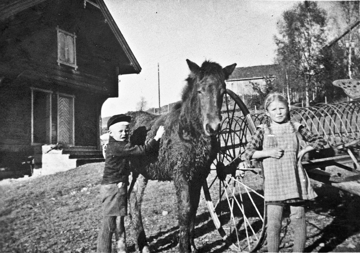 Jente, gutt, hest, føll, redskap til raking av høy og vogn med 4 hjul.
