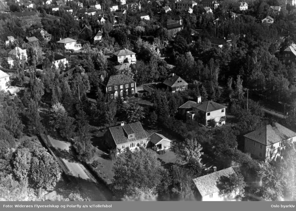 Villaer ved Charlotte Andersens vei på Vinderen. (Flyfoto)