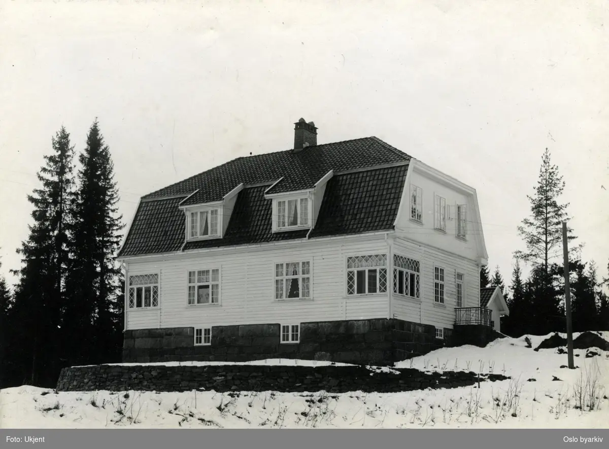 Trevilla, del av anlegget på Dikemark, framside, skog, snø. Magistratens III avd., J.nr. 0413, o1.02.15.