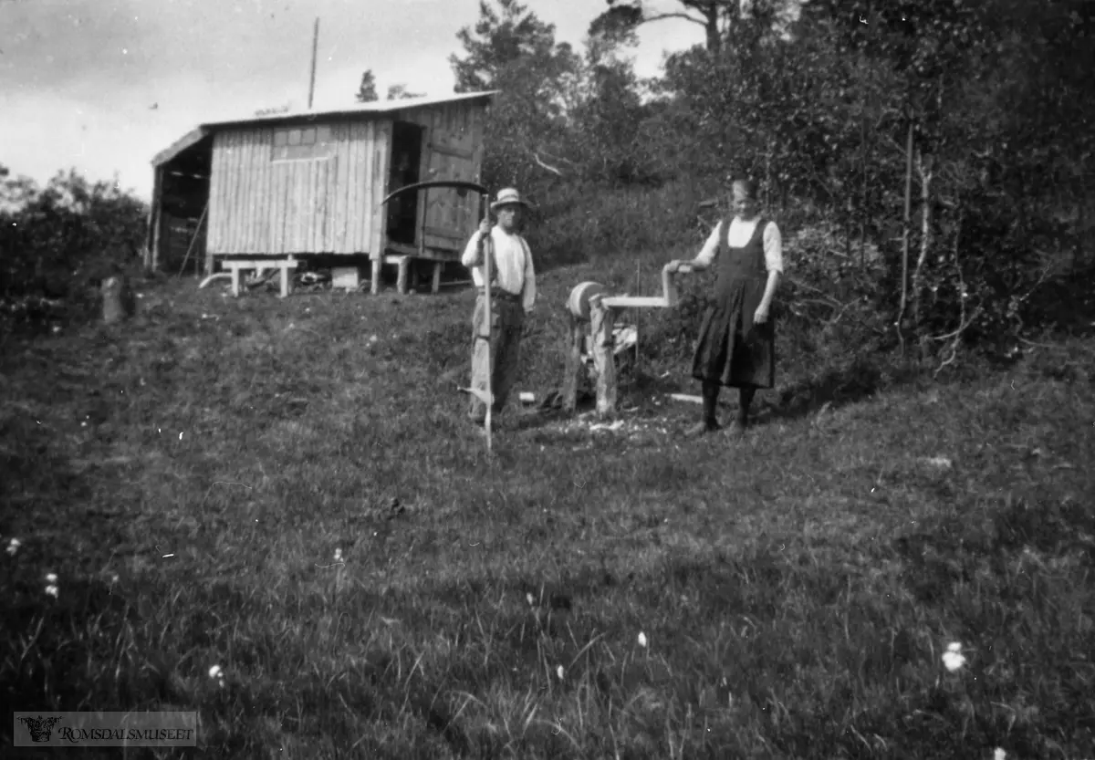 Slåttonn ved "Fjellbu" i Langvassdalen. På den tiden var det vanlig at dem dro til fjells og slo og sette høyet i "stakk".