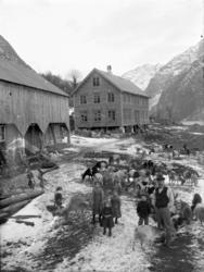 Hoem, Eikesdalvatnet. Bildet er tatt fra taket på huset som 