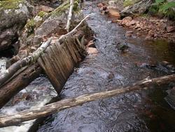 Ved saga til sagmeister Paul Aafløy på gnr 8 Bakken i Nesset