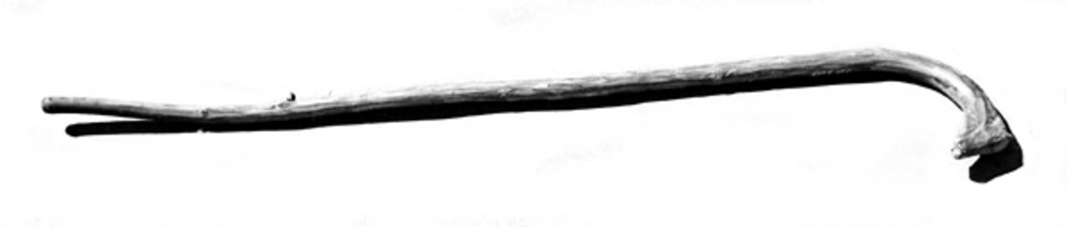 Spaserstokken står i koia fra Kvanstranddammen som står på Prestøya. 
Materialet i stokken er ubehandlet gran. 
Den ytterste delen av stokkens håndtak er utformet som et hestehode. 
Stokken er laget av giveren. 

